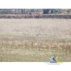 2006-13-03 Geuzenwaard (35)